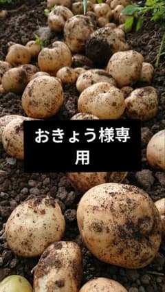 おきょう様専用のサムネイル