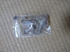 蛇の脱け殻 蛇皮 脱皮のサムネイル