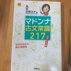 マドンナ古文常識217のサムネイル