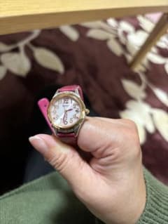 【きょんかよ様専用】SEIKO SSVW140 ピエールエルメのサムネイル