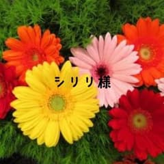 ★シリリ様専用★→専用完了のサムネイル