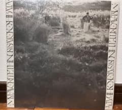 柴田聡子 / My Favorite Things LP レコードのサムネイル