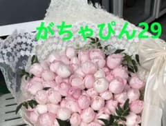 がちゃぴん29のサムネイル