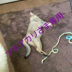 ツキアカリさま専用のサムネイル