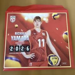 山田二千華選手　バレーボール女子日本代表　トレーディングmini色紙 バレーボール女子日本代表2026トレーディングmini色紙 山田二千華