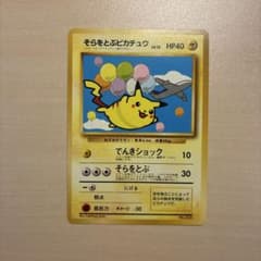 そらをとぶピカチュウ_ANA 「ジェットでゲットだ！Wチャンス