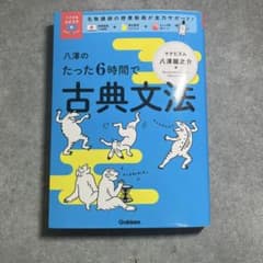 八澤のたった6時間で古典文法のサムネイル