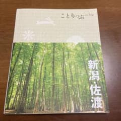 【美品】新潟・佐渡のサムネイル