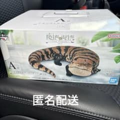 이치 반 쿠지 파충류 & 양서류 A상 아오시타 도마뱀