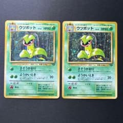 2枚セット ポケモンカード 旧裏 ウツボット LV.42 ポケモンジャングル