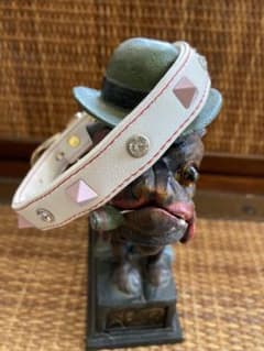 ペットの首輪のサムネイル