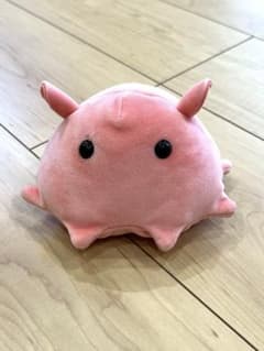 海中散歩 メンダコ ぬいぐるみのサムネイル