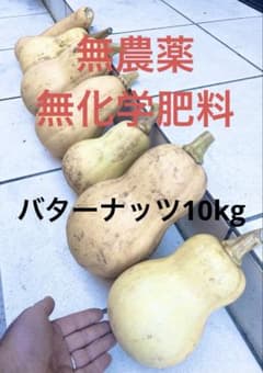 バターナッツかぼちゃ 約10kgのサムネイル