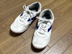 体育館シューズ 29cm 28cm ラッキーベル アリーナ100 上履き 上靴