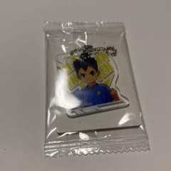 イナズマイレブン アクリミニ 宇都宮虎丸のサムネイル