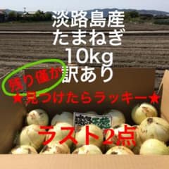 ★ラスト2点★見つけたらラッキー　淡路島産　たまねぎ　10kg 訳あり　タマネギのサムネイル