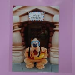 Thumbnail of ディズニーランド　写真　プルート　1枚