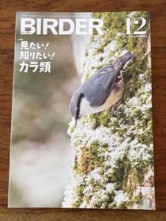 BIRDER 2024年12月号　カラ類特集のサムネイル