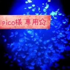 【pico様専用☆】製氷 アイストレー ジョジョ風 メッセージ 文字のサムネイル