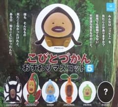 코비 토즈 칸 주름 마스코트 5
