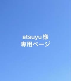 Atsuyu様専用ページ　確認お願いしますのサムネイル