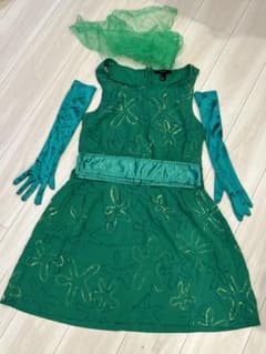 ディズニー　インサイド・ヘッド　ムカムカ　仮装　コスプレ　衣装のサムネイル
