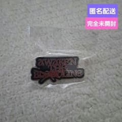 &TEAM　AWAKEN THE BLOODLINE　カプセルトイ　ピンバッジのサムネイル