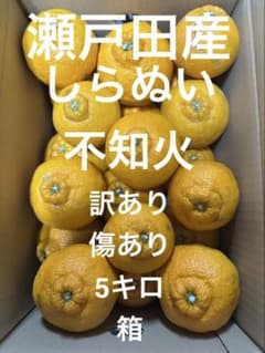 不知火⭐︎しらぬい⭐︎訳あり　kazu⭐︎様専用②のサムネイル