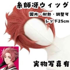糸師冴 ウィッグ コスプレ ブルーロック 180度耐熱 58cm【現物写真有