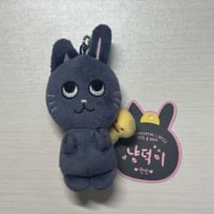 RIIZE ライズ ウォンビン ドールキーリング ぬいぐるみ トニャンドク