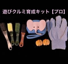 プロ育成セット】文玩核桃・遊びクルミ 高級育成セット6点：ブラシ+