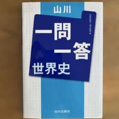 山川一問一答 世界史のサムネイル