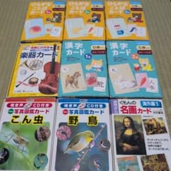 くもん 知育カード 名画野鳥昆虫 ひらがなことば漢字カード 幼児セット