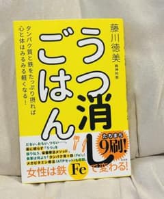 うつ消しごはん タンパク質と鉄をたっぷり摂れば心と体はみるみる軽くなる!のサムネイル