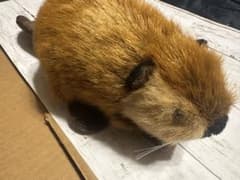 ビーバーぬいぐるみ　吉徳のサムネイル