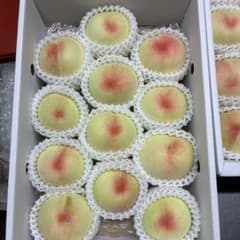 家庭用】岡山白鳳白桃⭐️3.75kg 12~16個入り - メルカリ