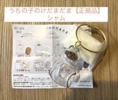 うちの子のけだまだま　【正規品】　シャムのサムネイル
