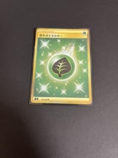 ポケモンカードゲーム 基本草エネルギー URのサムネイル
