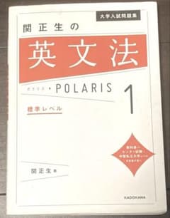大学入試問題集 関正生の英文解釈ポラリス[1 標準～応用レベル]のサムネイル