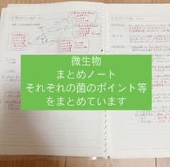 臨床検査技師 微生物 まとめノート - メルカリ