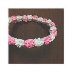 花冠 WEGO スピンズのサムネイル