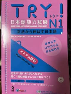 TRY (トライ) !日本語能力試験 : 文法から伸ばす日本語 N1 TRY!…のサムネイル