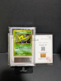 ARS10 セレビィ　旧裏　プレミアムファイル　ポケモンカード　ポケカ　渦あり ARS10 セレビィ 旧裏 プレミアムファイル ポケモンカード ポケカ 渦