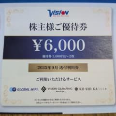 ビジョン 優待 6000円分のサムネイル