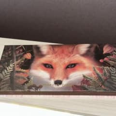 PERFECT DIARY アイシャドウパレット 12色のサムネイル