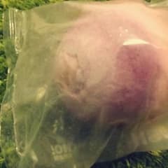 LUSHの入浴剤(スターダスト&セクシーボム)値下げ!のサムネイル