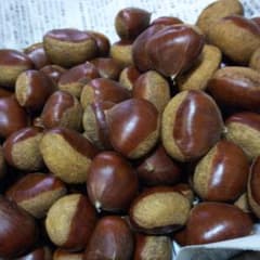 滋賀県産  丹波栗 L,LL 無農薬 1.5Kgのサムネイル
