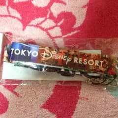 【お値下げ↓】ディズニー 30周年 篠山紀信 ストラップ♡のサムネイル