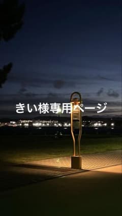 専用ページのサムネイル