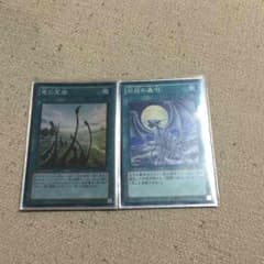 遊戯王 竜の霊廟と銀龍のこうほうのサムネイル